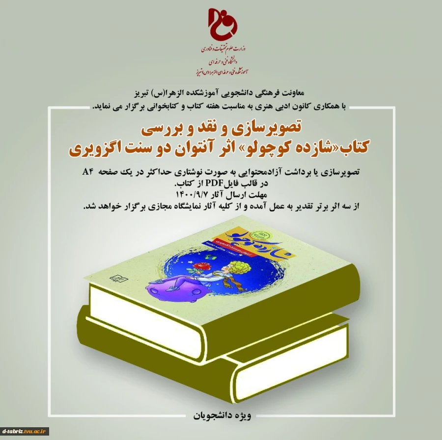 تصویر سازی و نقد و بررسی کتاب شازده کوچولو ویژه دانشجویان 2