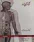 کتاب:آناتومی تنه