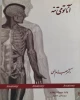 کتاب:آناتومی تنه 2