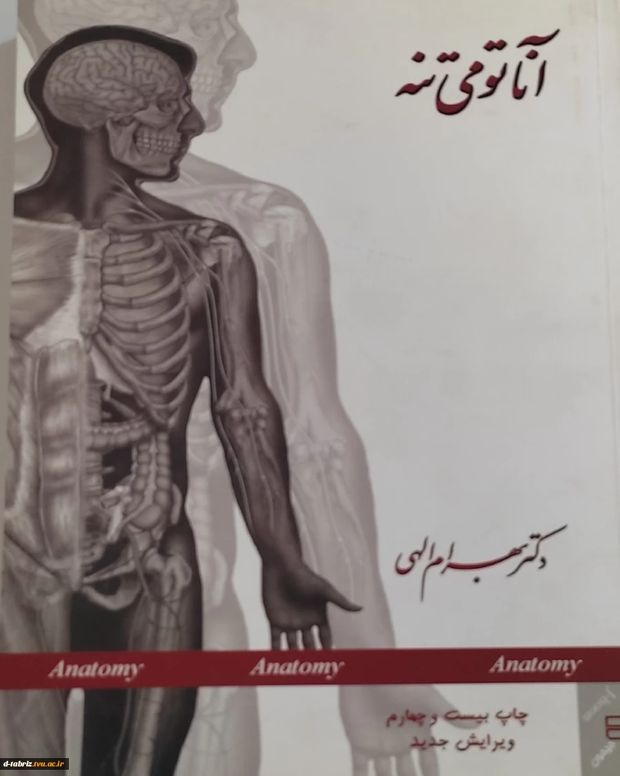 کتاب:آناتومی تنه 2