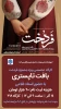 فردخت 2