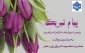 پیام تبریک رئیس آموزشکده الزهرا (س) تبریز به مناسبت ولادت حضرت معصومه(س)