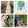 به مناسبت هفته محیط زیست  2