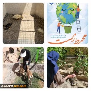 به مناسبت هفته محیط زیست