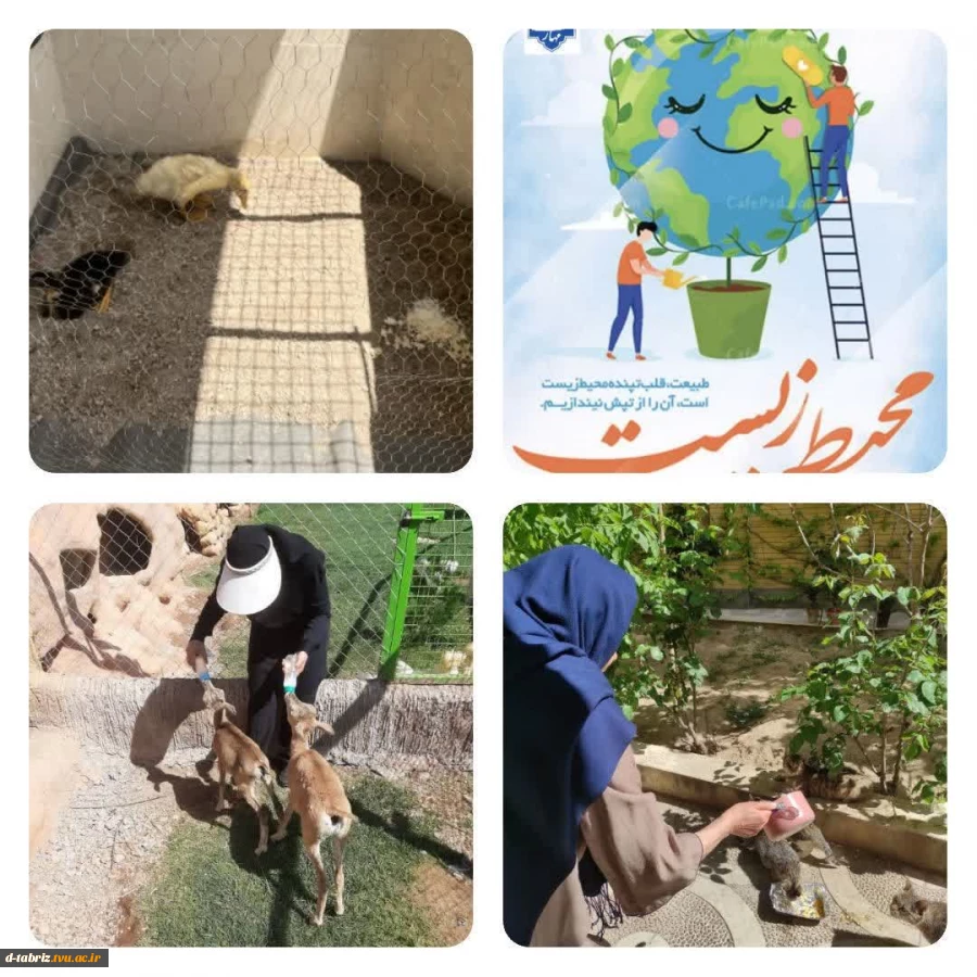 به مناسبت هفته محیط زیست  2