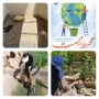 به مناسبت هفته محیط زیست
